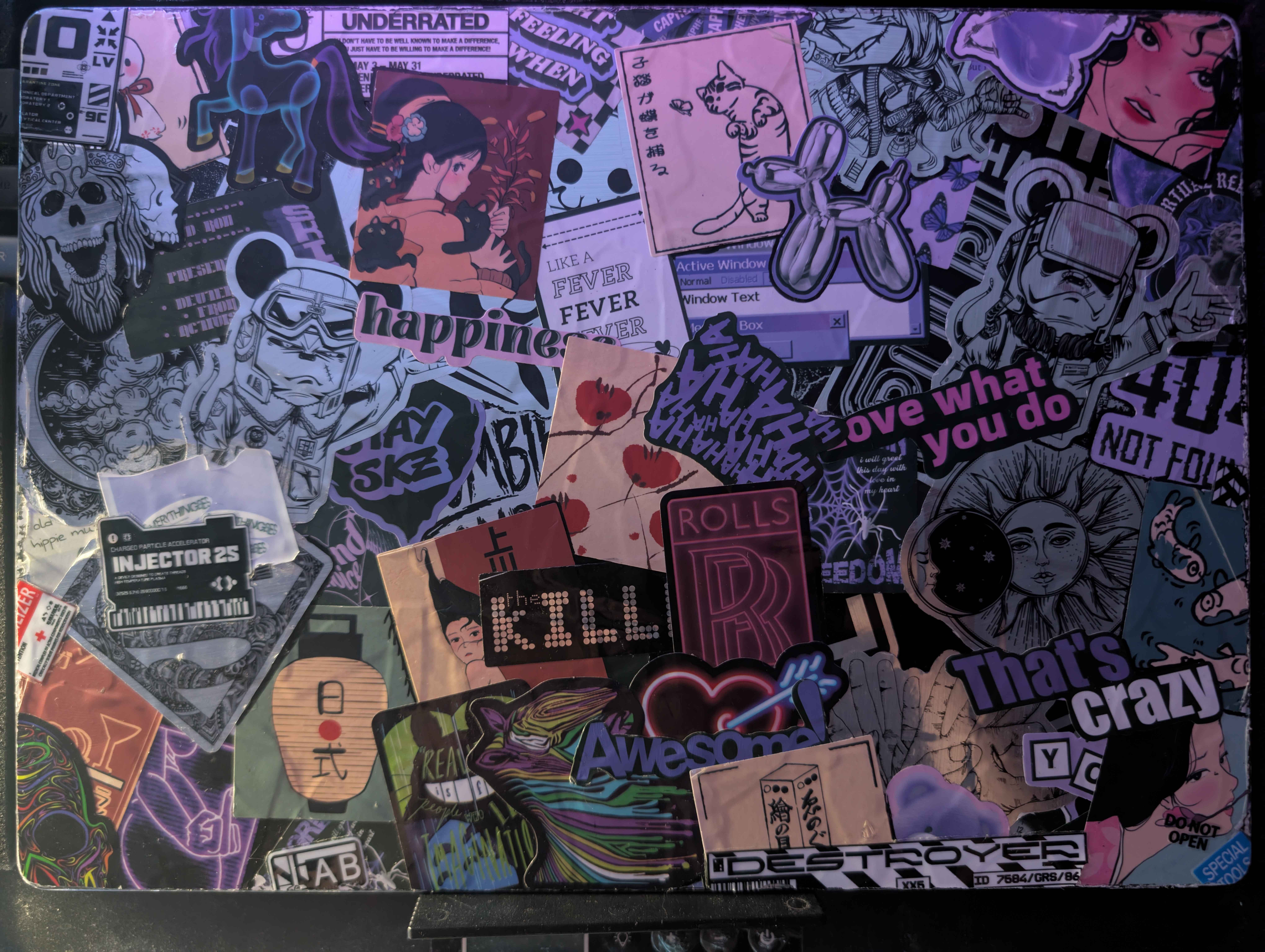 Laptop Setup